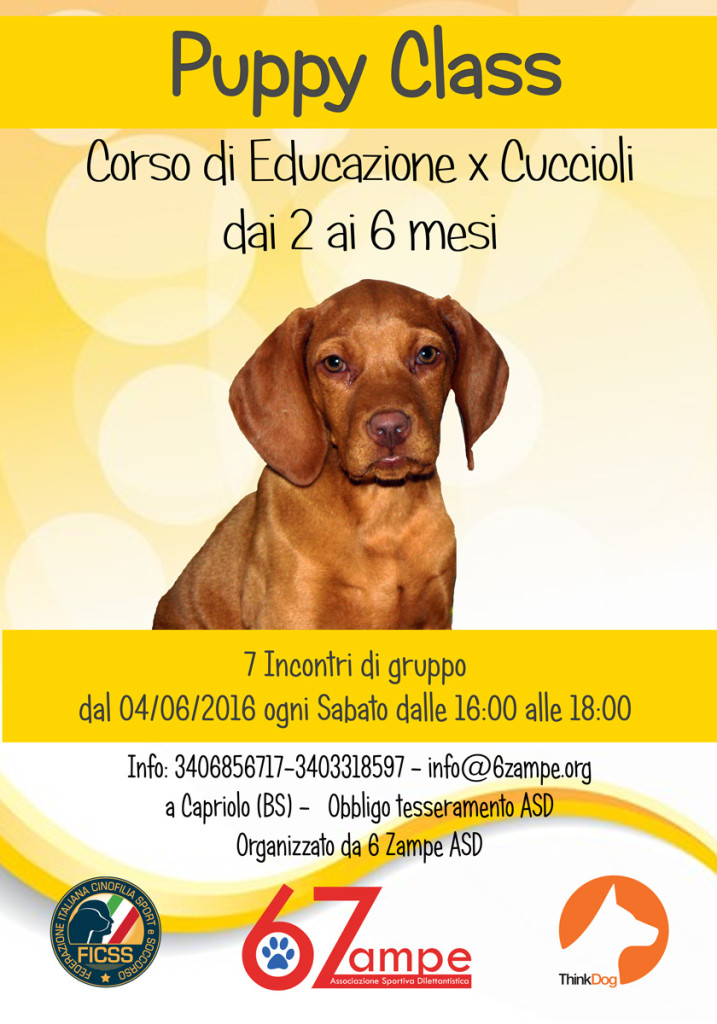 Puppy Class a Capriolo - Corso educazione per Cuccioli @ 6Z Centro Cinofilo | Capriolo | Lombardia | Italia